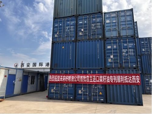 2024年天府好糧油公司 多元驅(qū)動,多維布局,引領(lǐng)糧油產(chǎn)業(yè)新航向