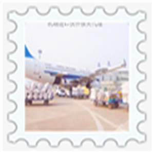 機(jī)場快件被扣快多久可以通關(guān)|專業(yè)處理